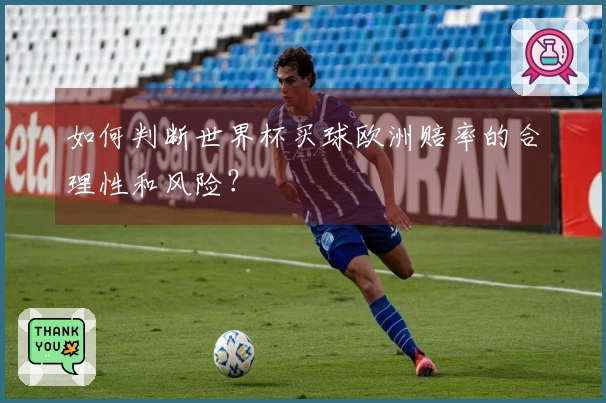 如何判断世界杯买球欧洲赔率的合理性和风险？