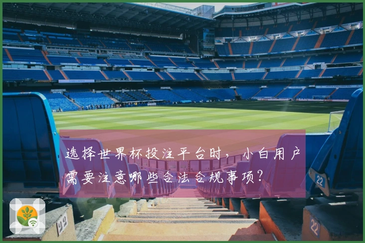 选择世界杯投注平台时，小白用户需要注意哪些合法合规事项？