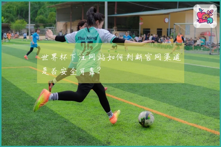 世界杯下注网站如何判断官网渠道是否安全可靠?