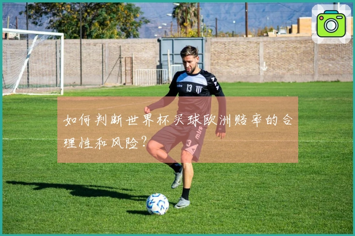 如何判断世界杯买球欧洲赔率的合理性和风险？