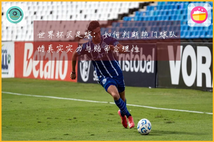 世界杯买足球：如何判断热门球队的真实实力与赔率合理性