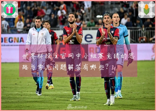 世界杯投注官网中小组赛竞猜的思路与常见问题解答有哪些?